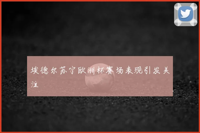 埃德尔苏宁欧洲杯赛场表现引发关注