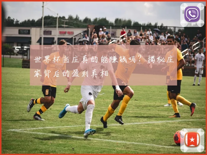 世界杯当庄真的能赚钱吗？揭秘庄家背后的盈利真相