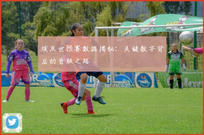 埃及世预赛数据揭秘：关键数字背后的晋级之路
