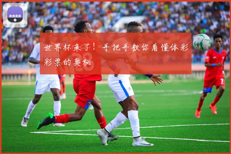 世界杯来了！手把手教你看懂体彩彩票的奥秘