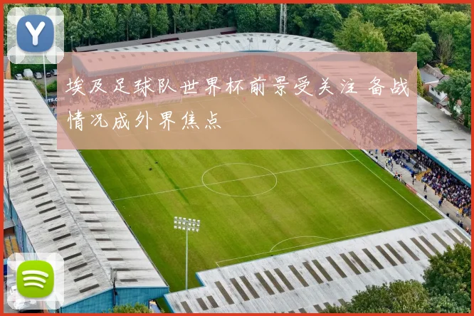 埃及足球队世界杯前景受关注 备战情况成外界焦点