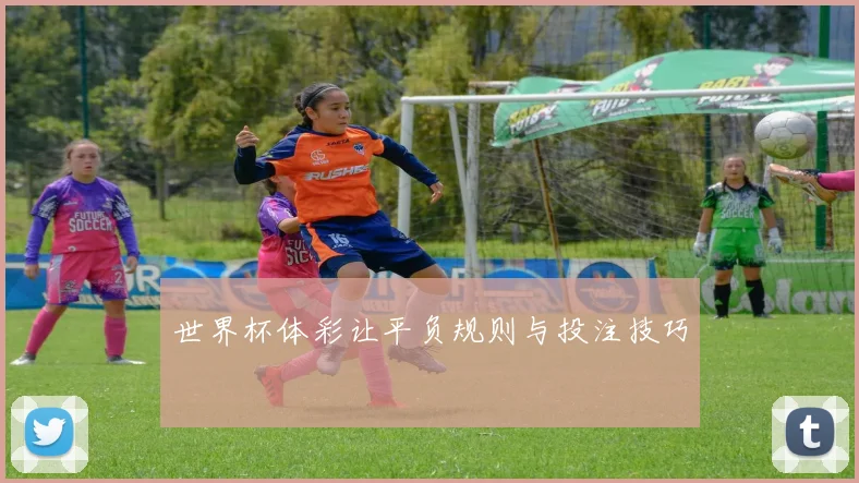 世界杯体彩让平负规则与投注技巧