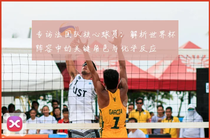 专访法国队核心球员:解析世界杯阵容中的关键角色与化学反应