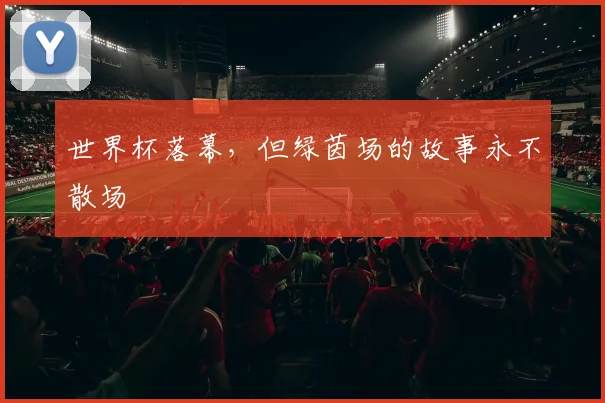 世界杯落幕，但绿茵场的故事永不散场