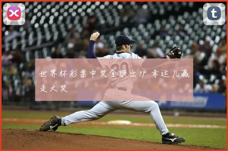 世界杯彩票中奖金额出炉 幸运儿赢走大奖