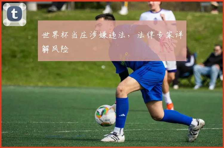 世界杯当庄涉嫌违法，法律专家详解风险