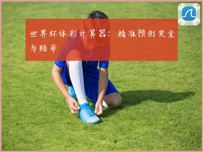 世界杯体彩计算器：精准预测奖金与赔率