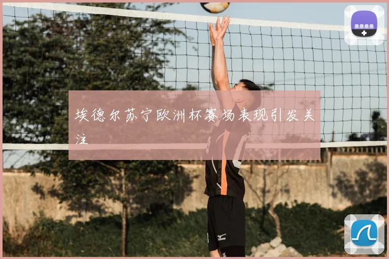 埃德尔苏宁欧洲杯赛场表现引发关注